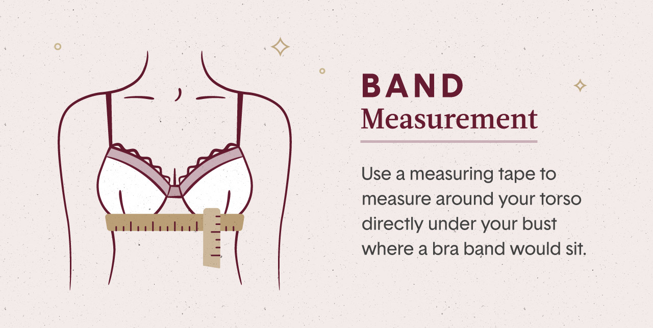 Bra Size Chart + How to Measure Bra Size | Tommy John – Help Center